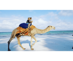 DIANI BEACH HOLIDAY PACKAGE