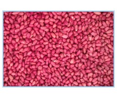 Raw red-skin Groundnuts/Peanuts for Sale - 1