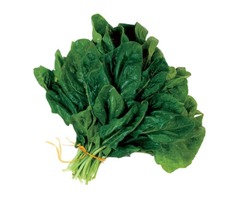 Fresh Vegetable Supply – Spinach - 1