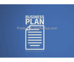 Business Plans/Proposals/Project Writing