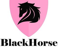 Blackhorse Private Investigators In Mombasa and Nairobi Kenya - 1