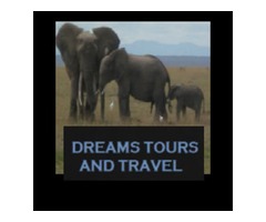 Want  to Explore The Beauty of Kenya wildlife safaris ? - 1