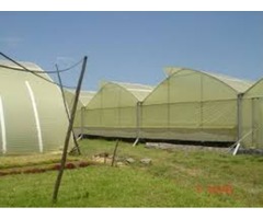 Do you want a successful and profitable agribusiness venture? Try Aquaponicpoultry System