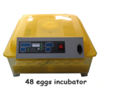 48 chicken icubator/132 quail eggs incubator
