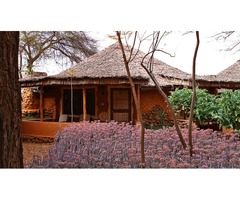 Sopa Safari Lodge at Amboseli Kenya