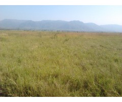 250 Acres Prime Land Chemelil Kisumu - 1