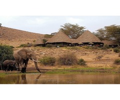 Amboseli National Park - 1