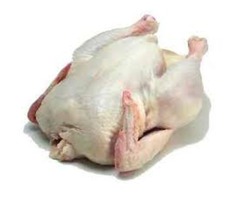 Broilers for sale - 2