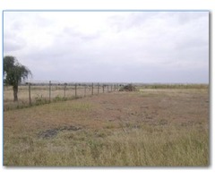 Plots for Sale in Diani, South Coast Mombasa - 1