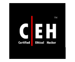 Certified Ethical Hacker Training Course in Nairobi, Kenya