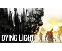Dying Light Computer Game.