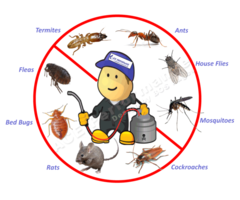 Bedbugs & Fumigation services at Florascape
