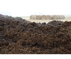 manure for sale - 1