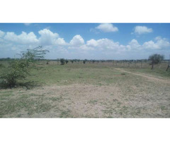 2 acres land for sale in Kitengela at Olturoto shopping centre-S - 1
