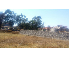 Quarter acre plots for sell along Kiambu rd.L5.