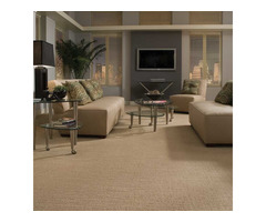 Wall-to-wall carpets- high quality, different colors & thickness, durable - 1