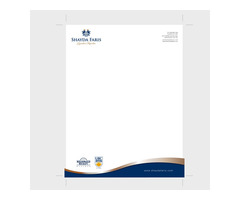 COMPANY LETTER HEAD  PRINTING - 2