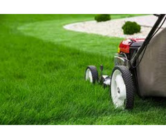 Mowing services in Nairobi - 1