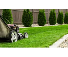 Mowing services in Nairobi