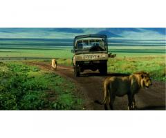 3 days ngorongoro crater safari